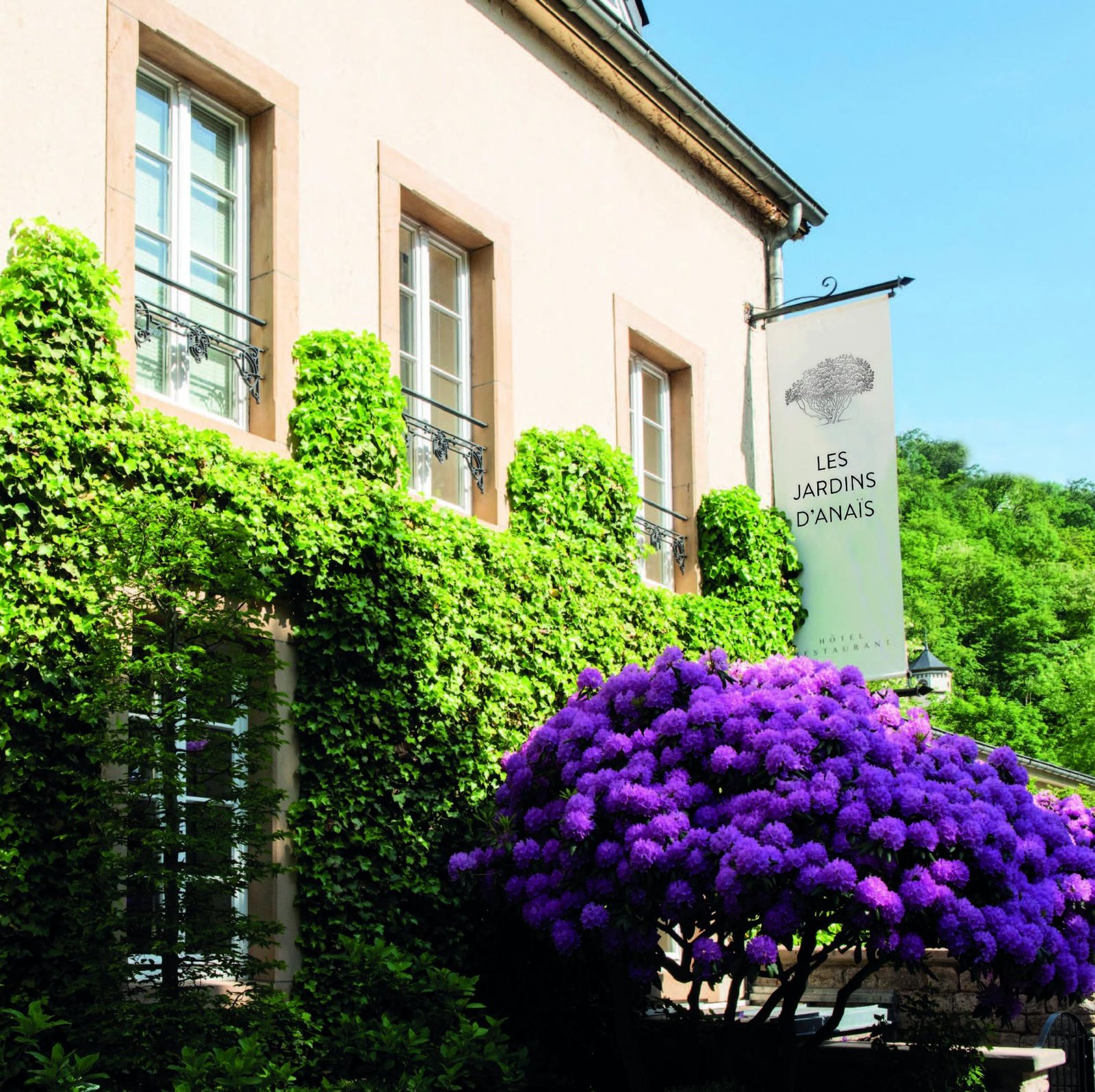 Les Jardins d'Anaïs, how it began