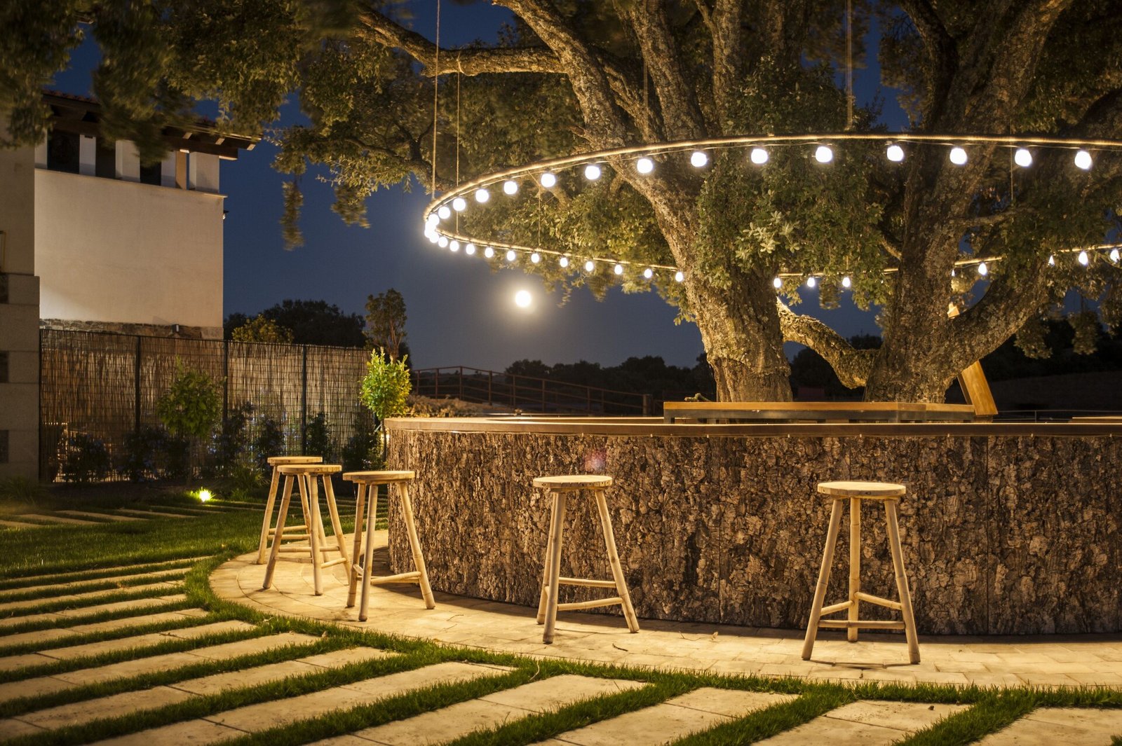 Habitat Cigüeña Negra, the tree bar