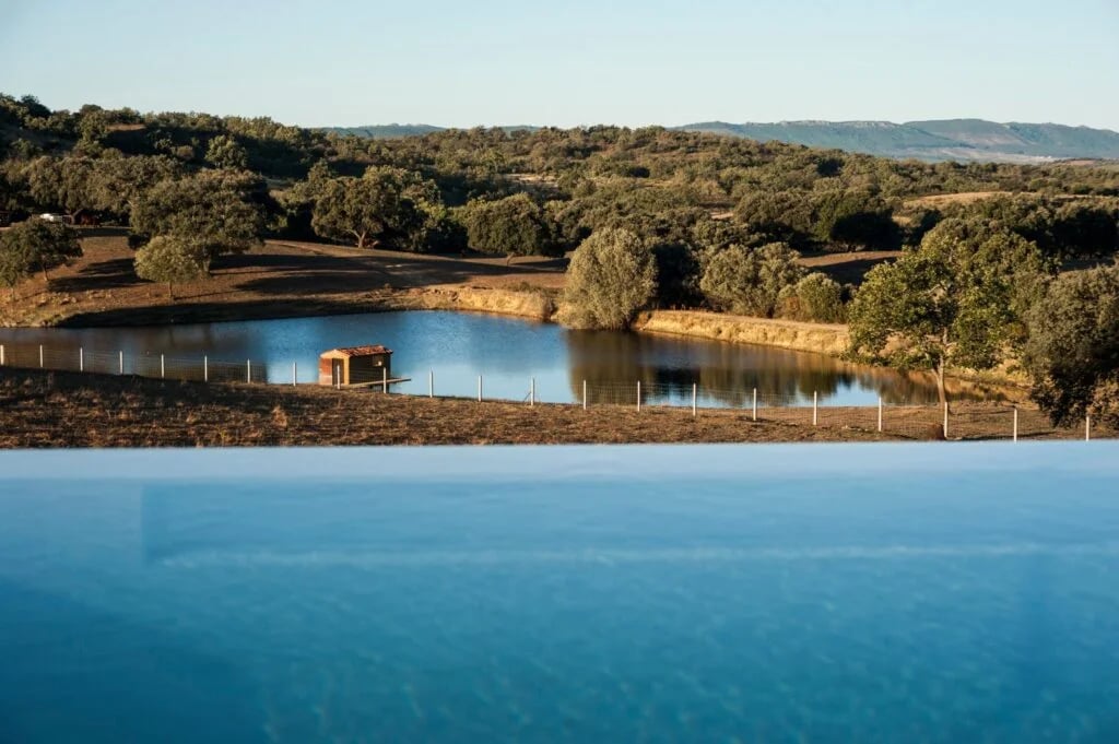 Habitat Cigüeña Negra, the pool