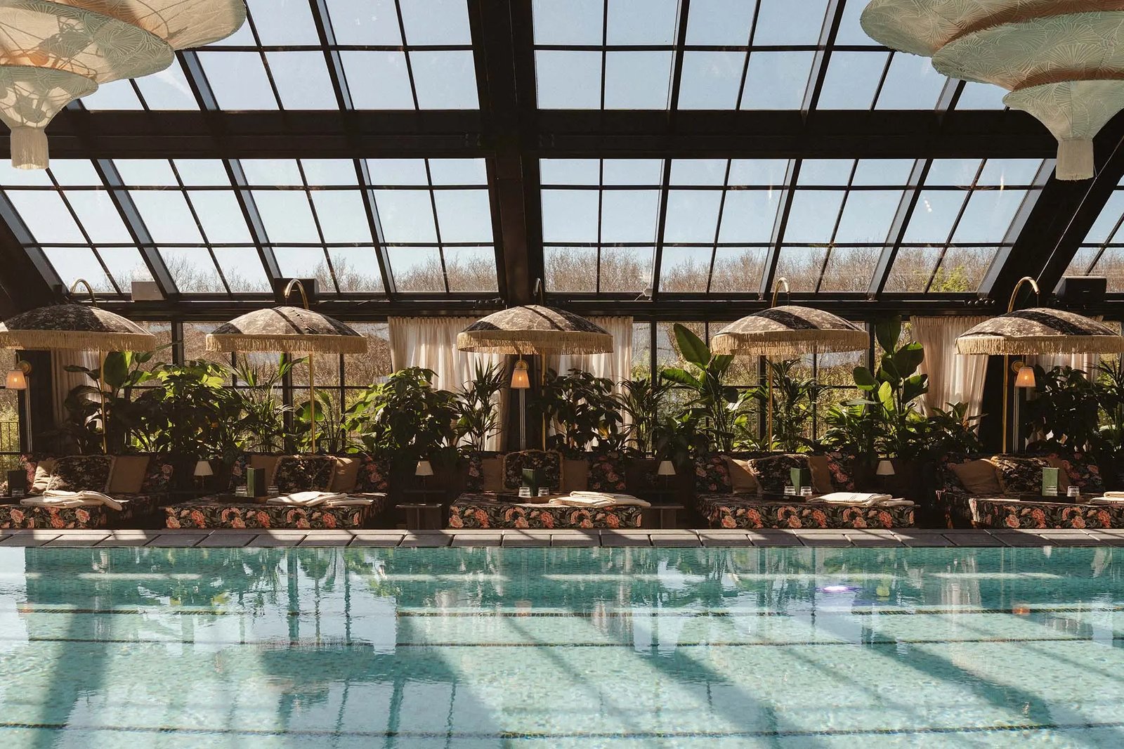 Rox Resort, the pool