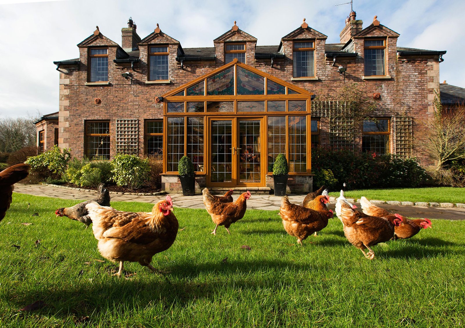 Blackwell House, how it began