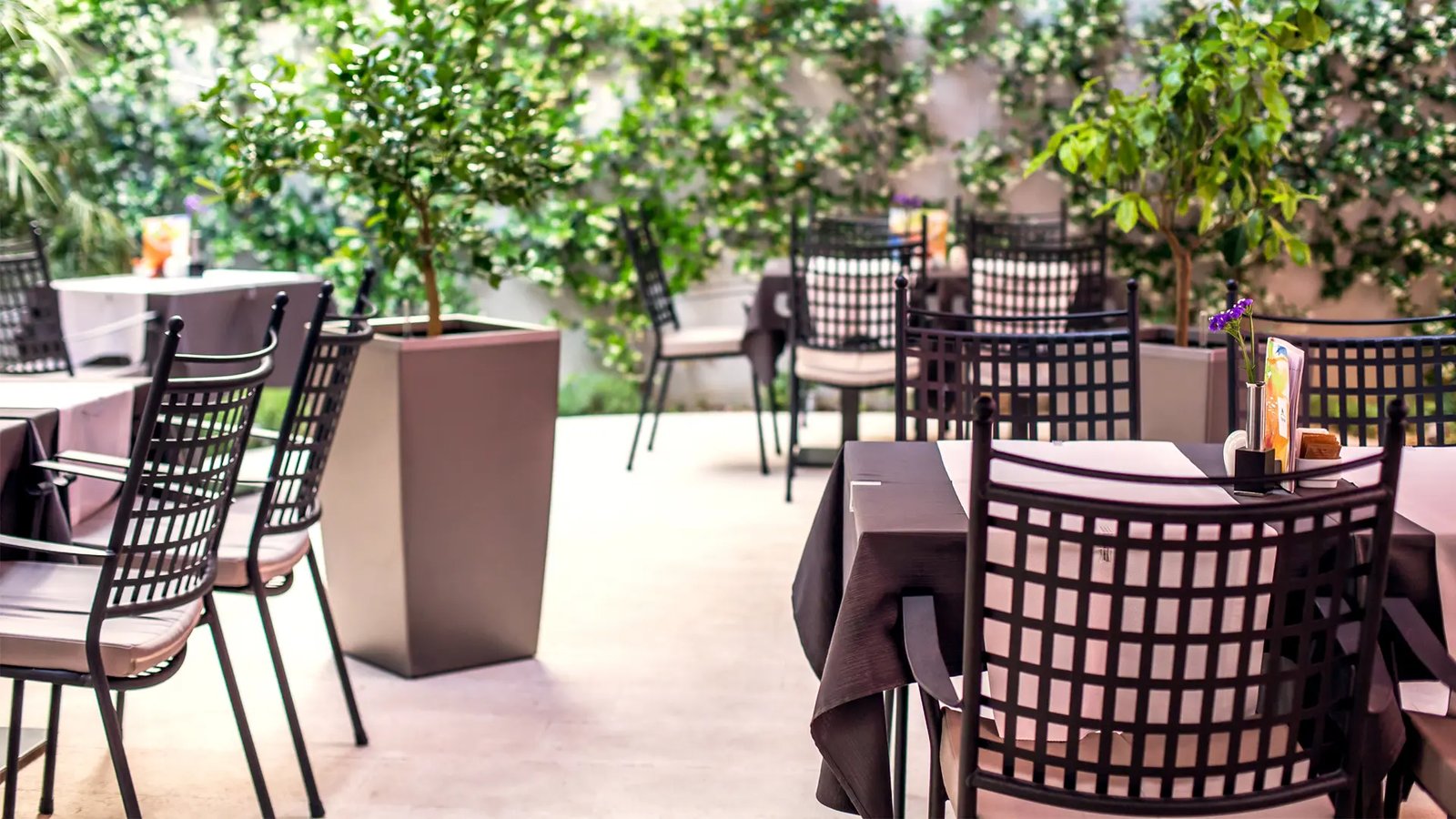Cornaro Hotel, at the table
