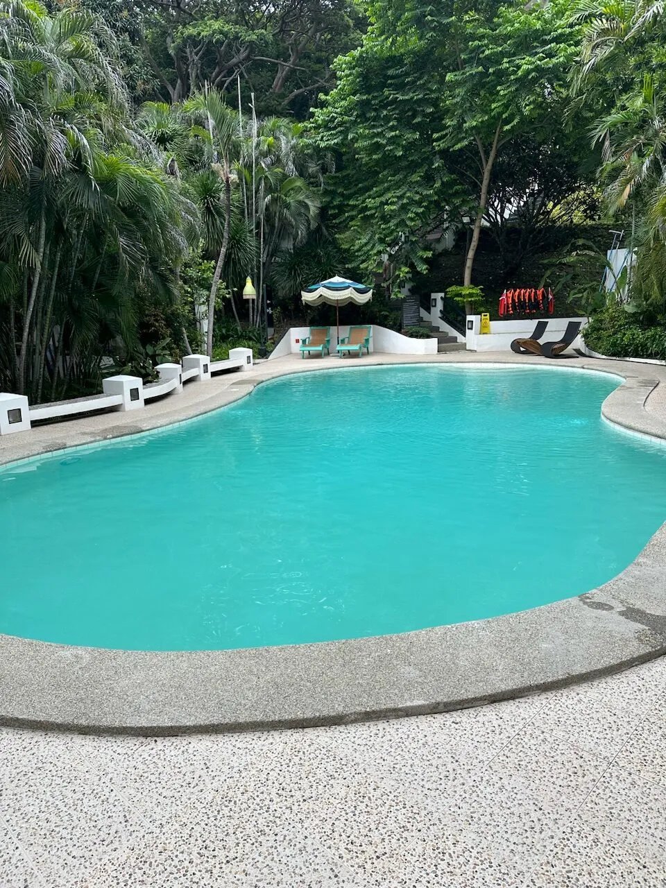 Nawa Wellness, the pool