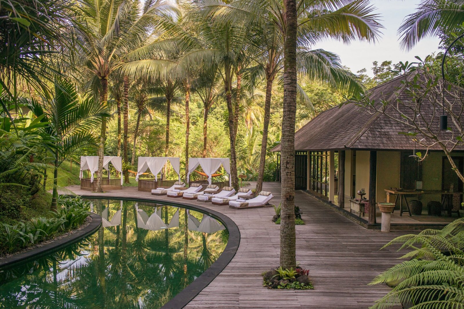 Komaneka at Bisma, the pool