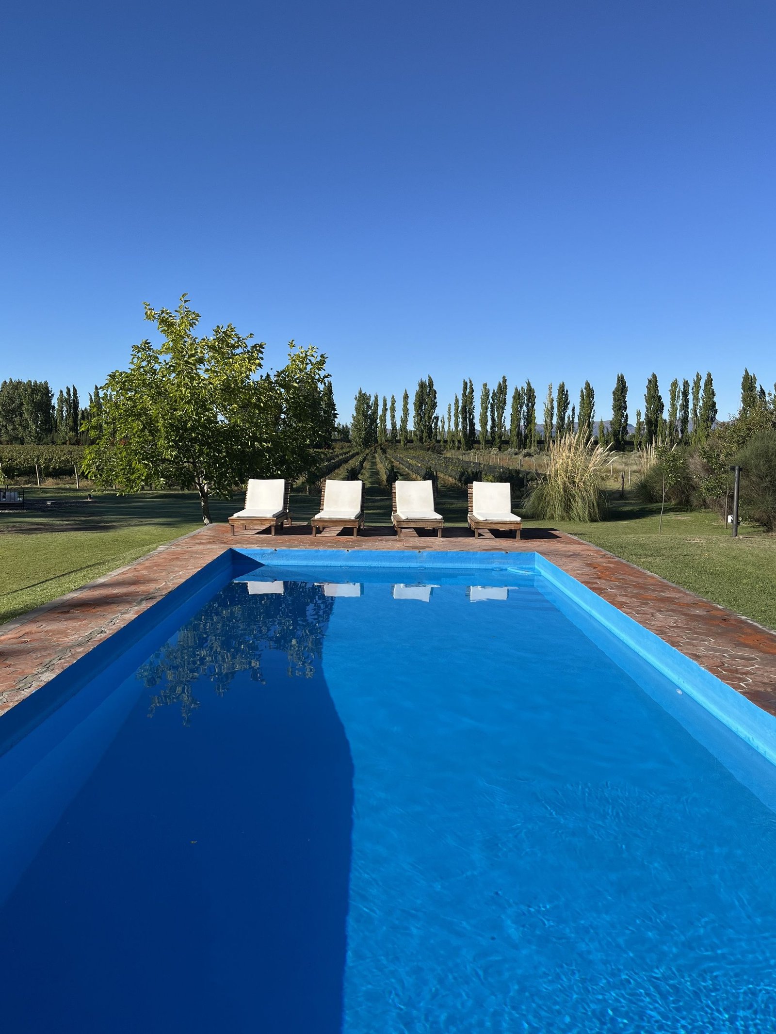 Finca El Maitén, the pool