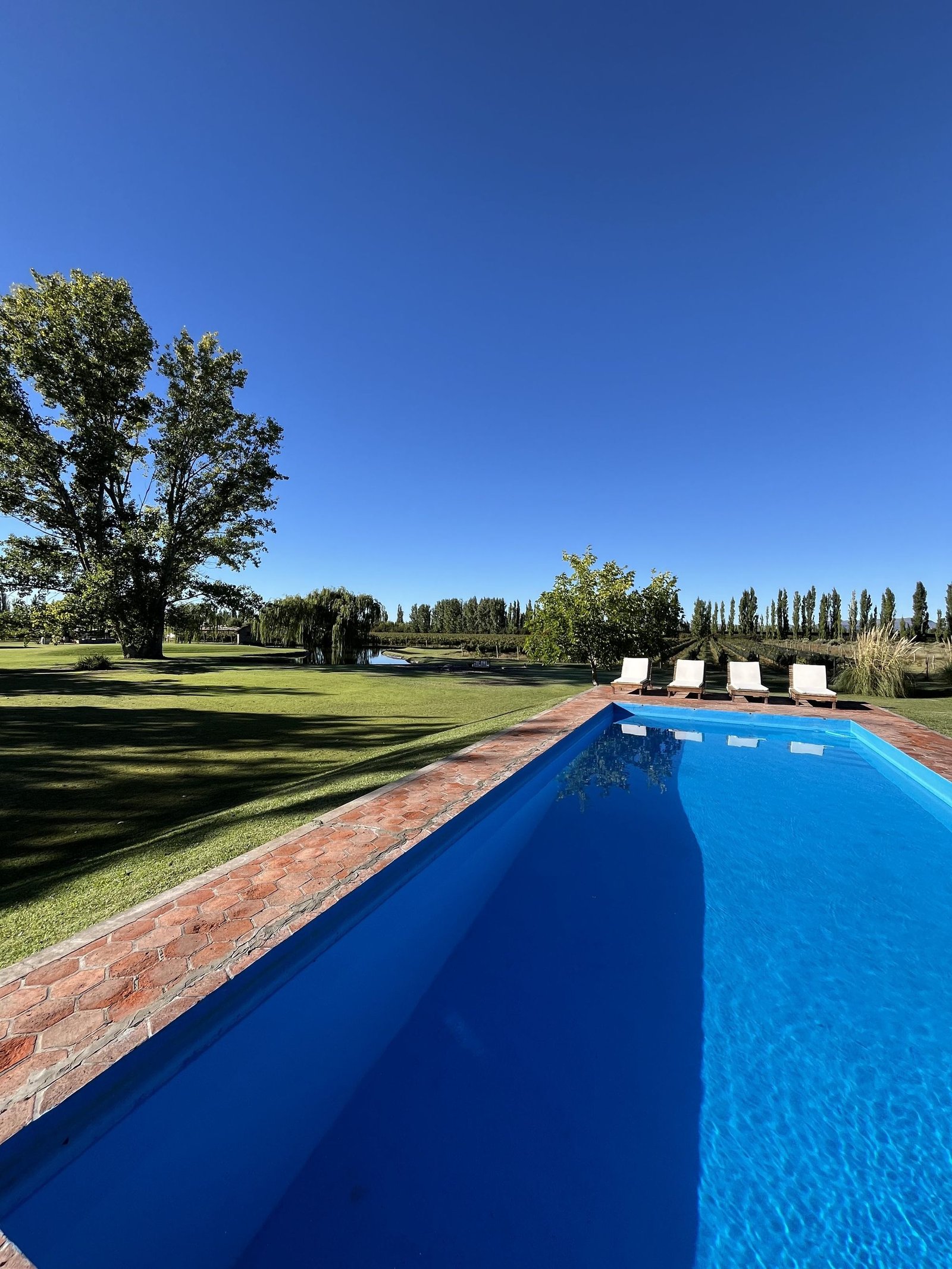 Finca El Maitén, the pool