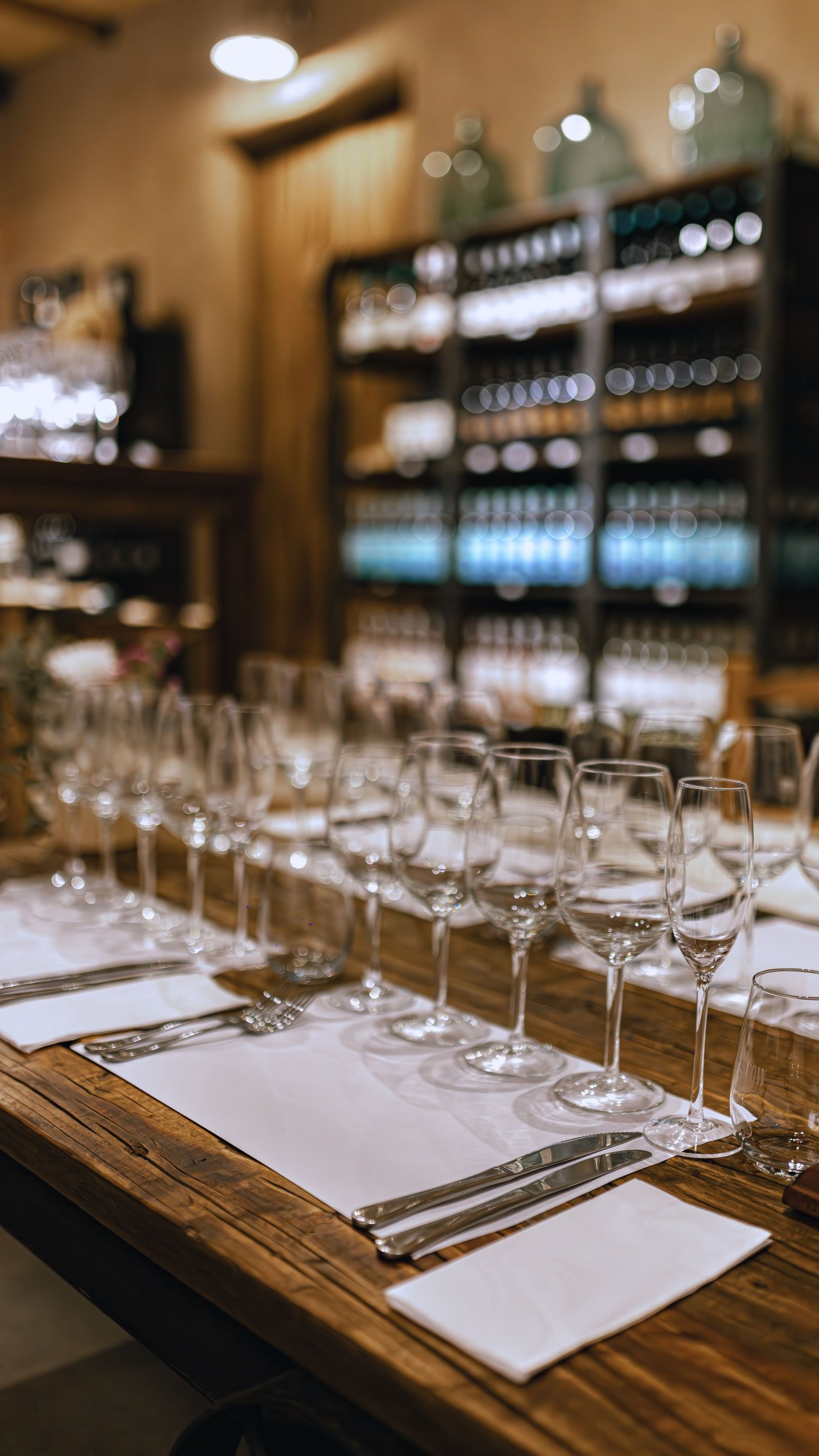 Finca El Maitén, bodega fow
