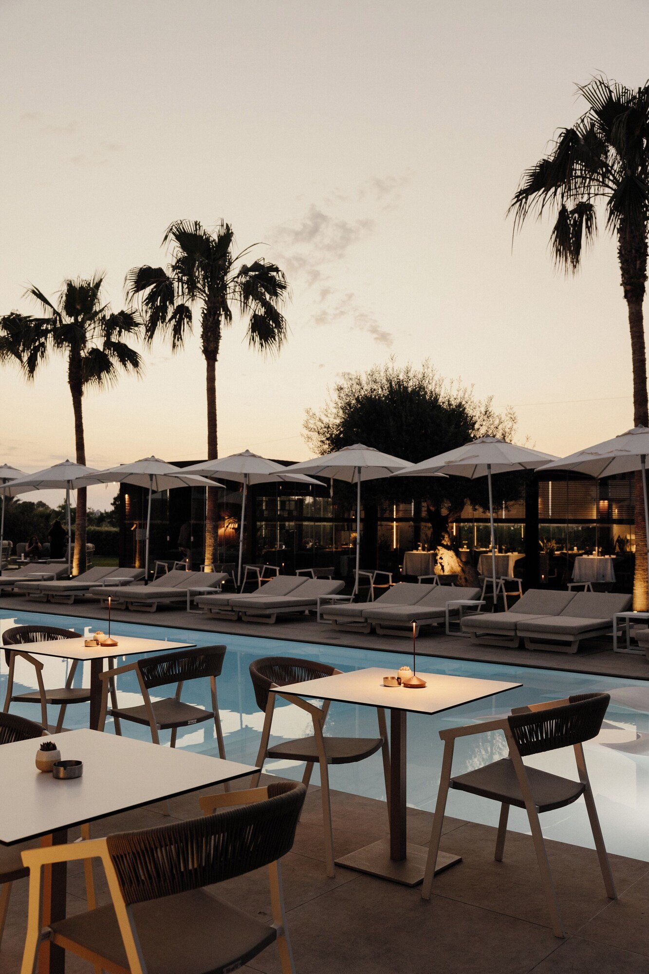 Insulae Resort, at the table