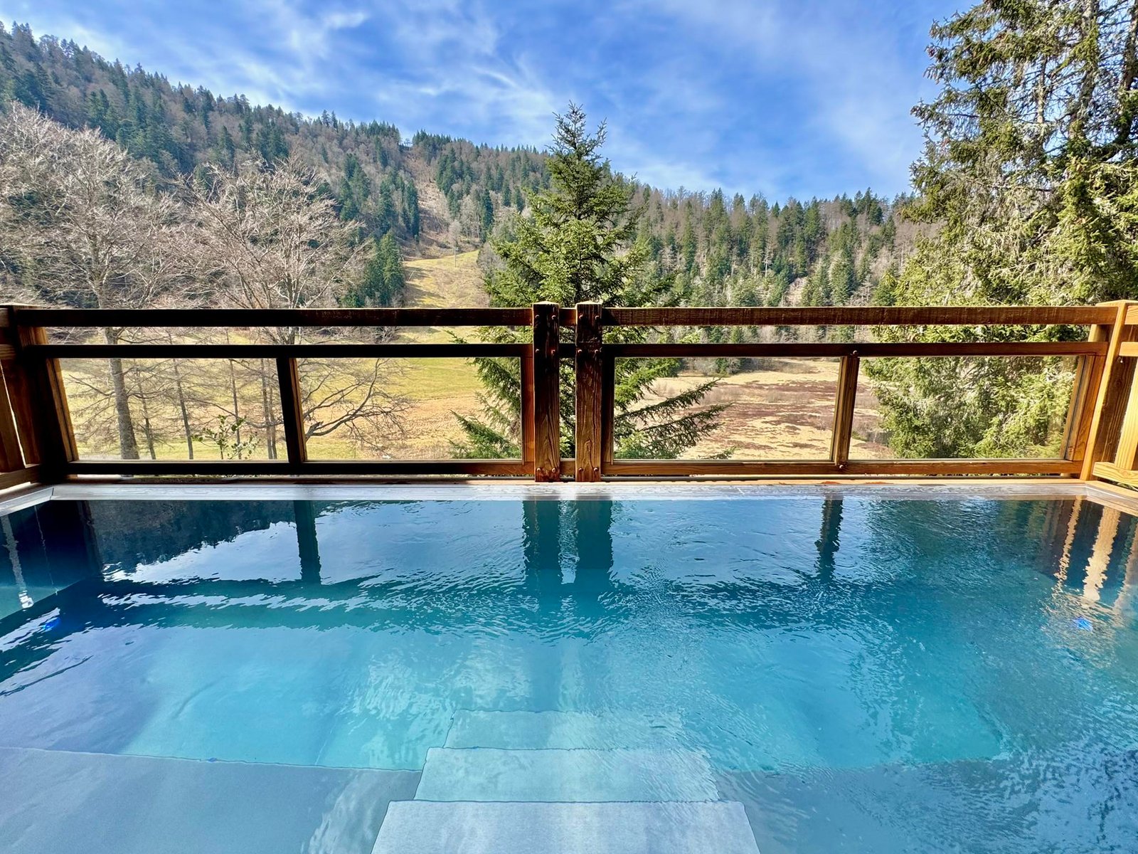 Domaine de Montagne, the pool