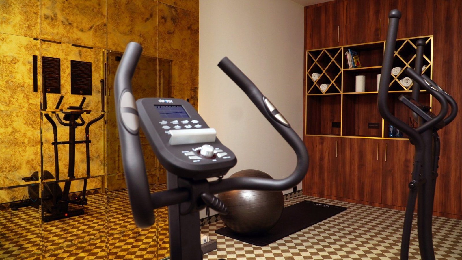 Hotel Pietryna, gym and massage