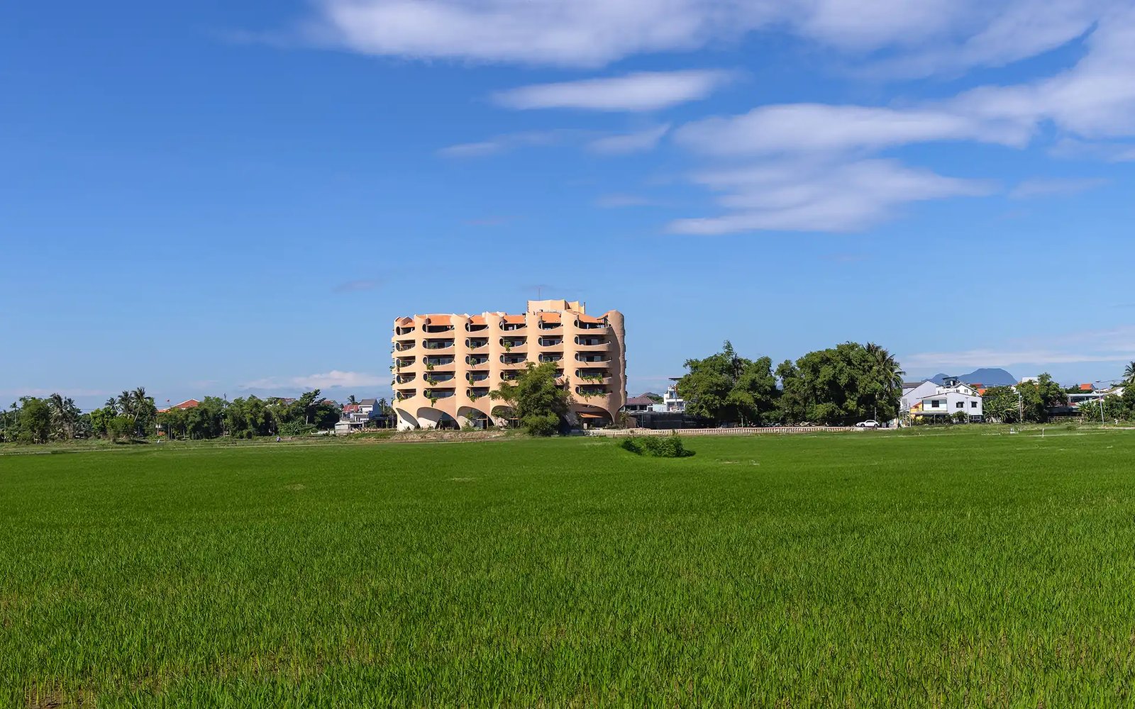 Rêu Boutique Hotel Hoi An, how it began