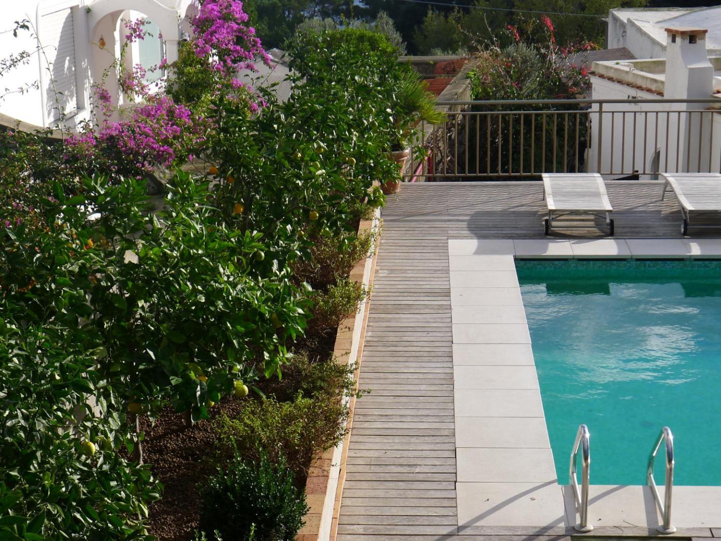 Canasta, the pool