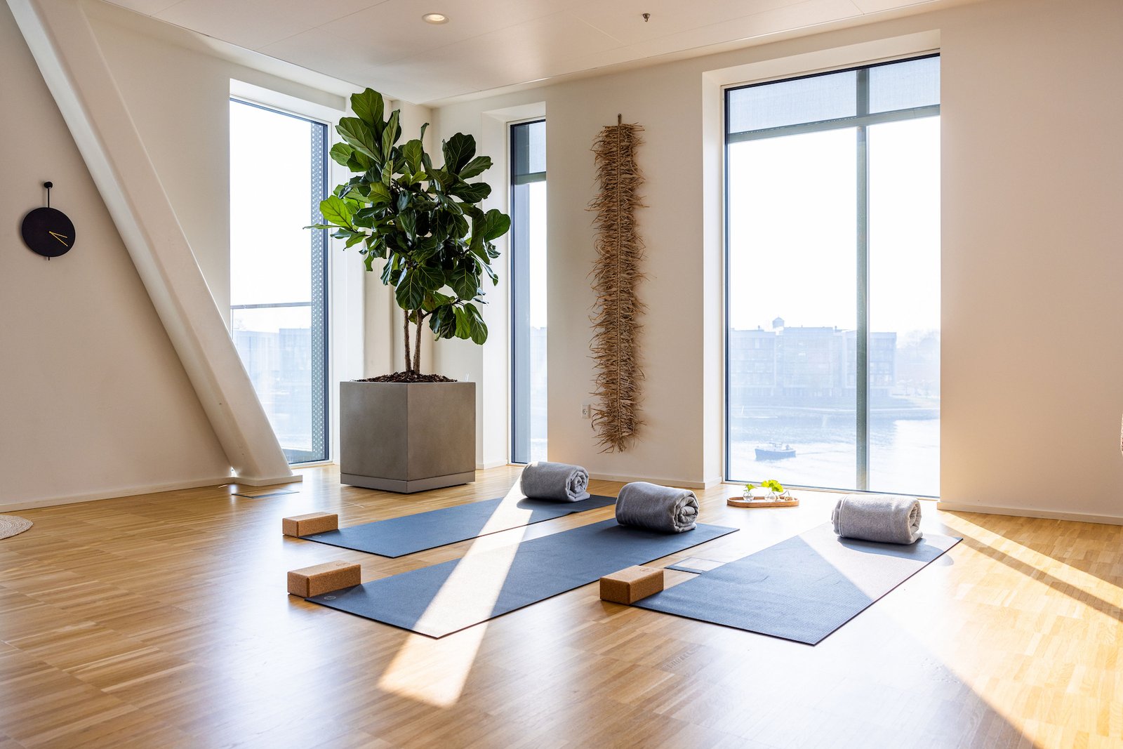 Alsik Hotel & Spa, the yoga studio