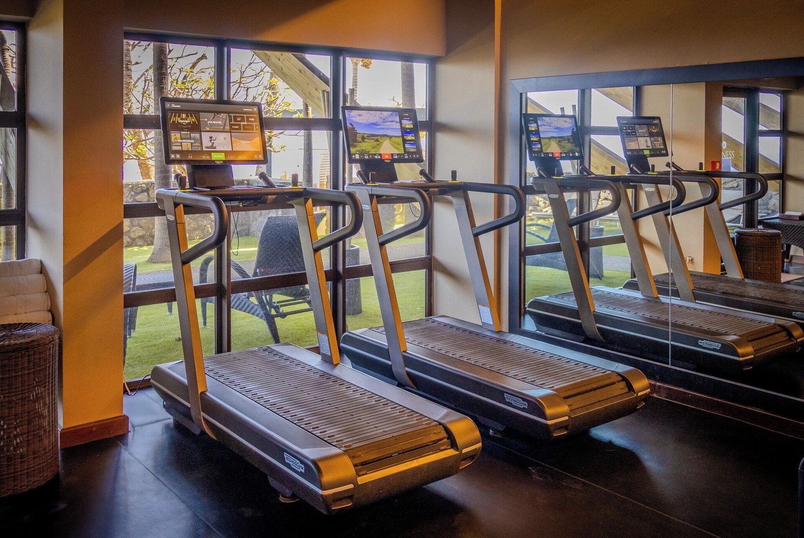 Palm Hotel & Spa, the gym