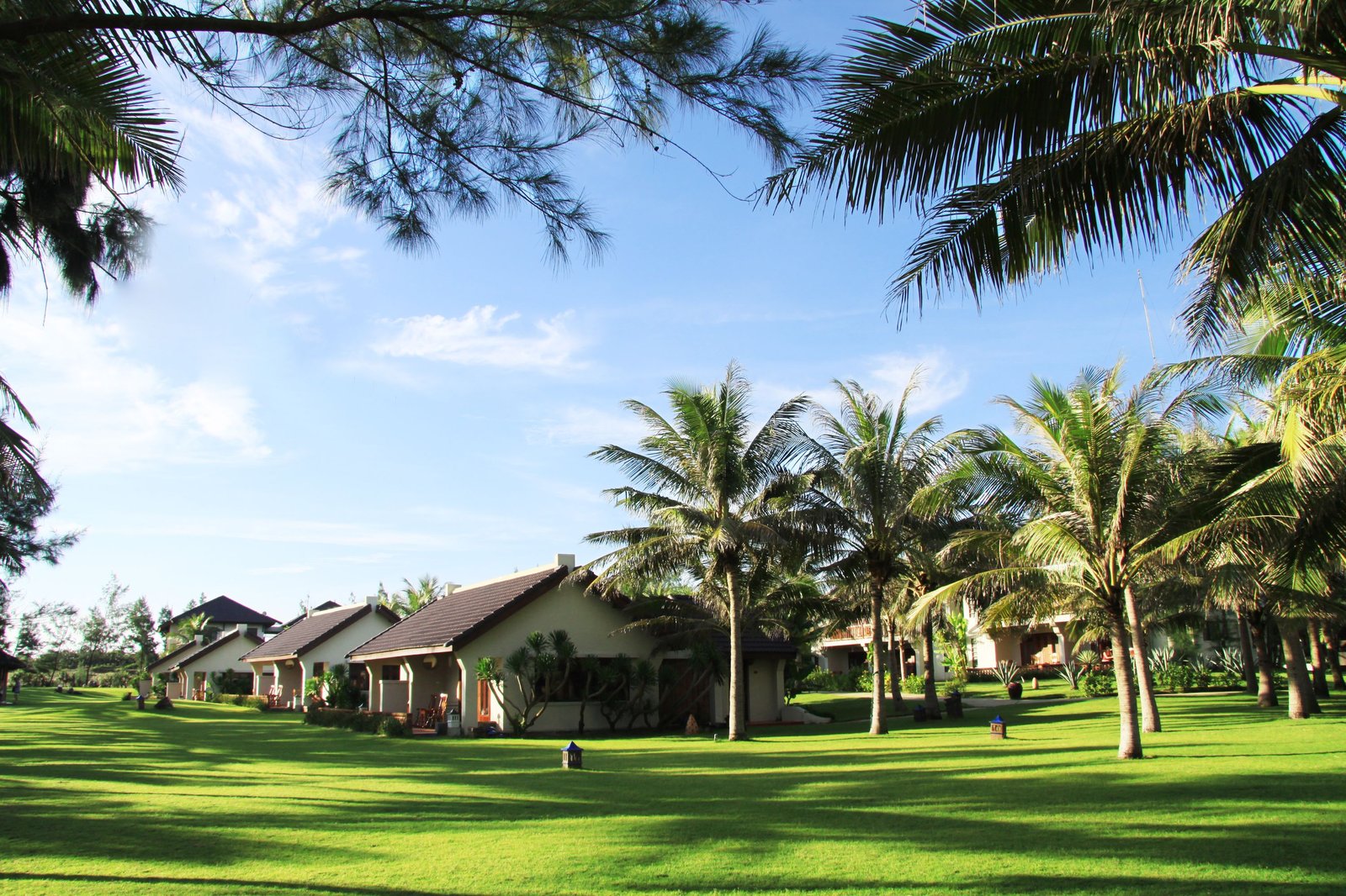 Palm Garden Resort Hoi An — backstory