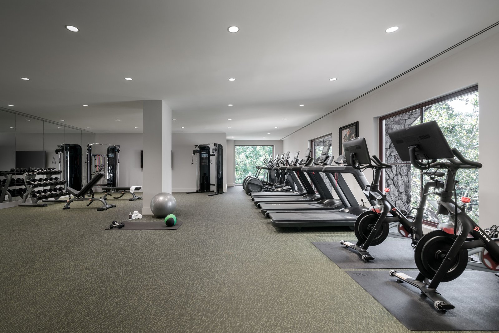 Grand Bohemian Lodge Greenville, the gym