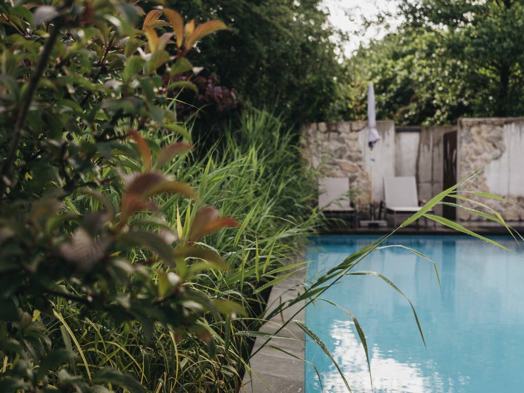 Landhotel Voshövel, the pool