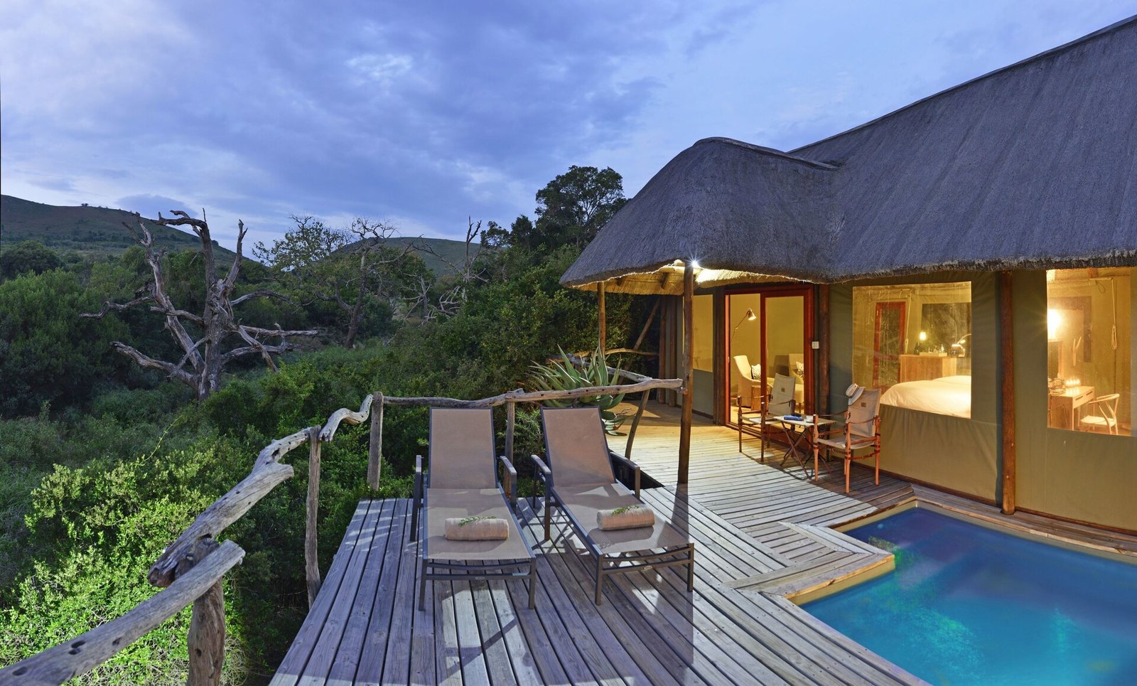 Shamwari Bayethe