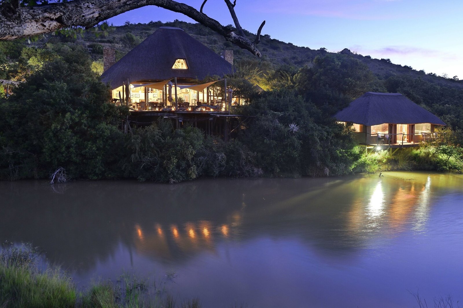 Shamwari Bayethe, how it began