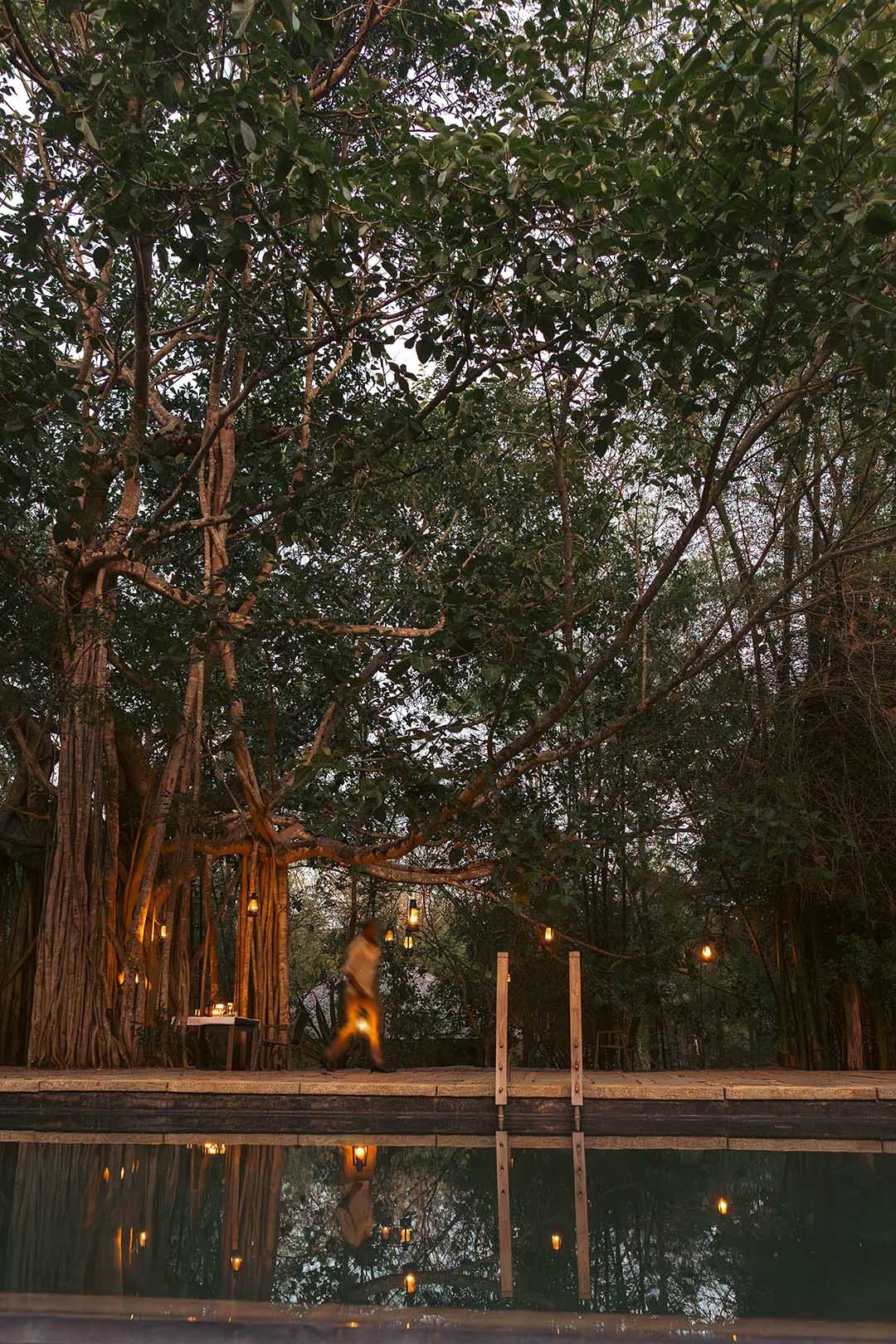 KAAV Safari Lodge, Kabini