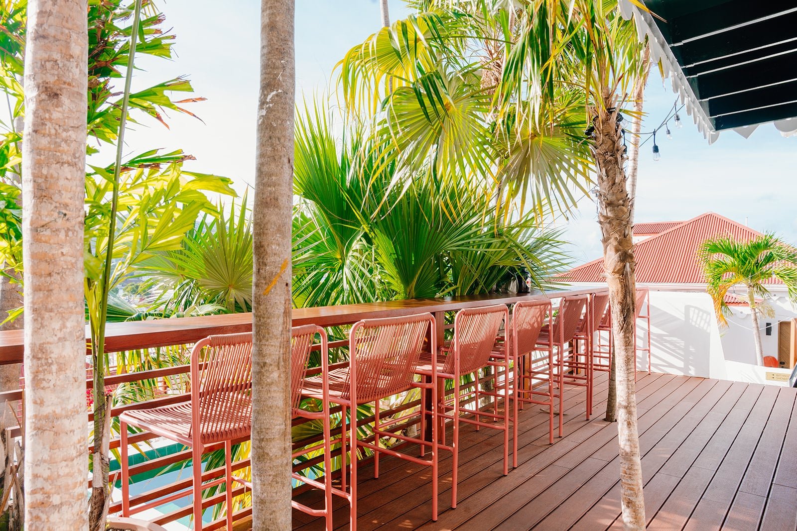 The Pink Palm Hotel