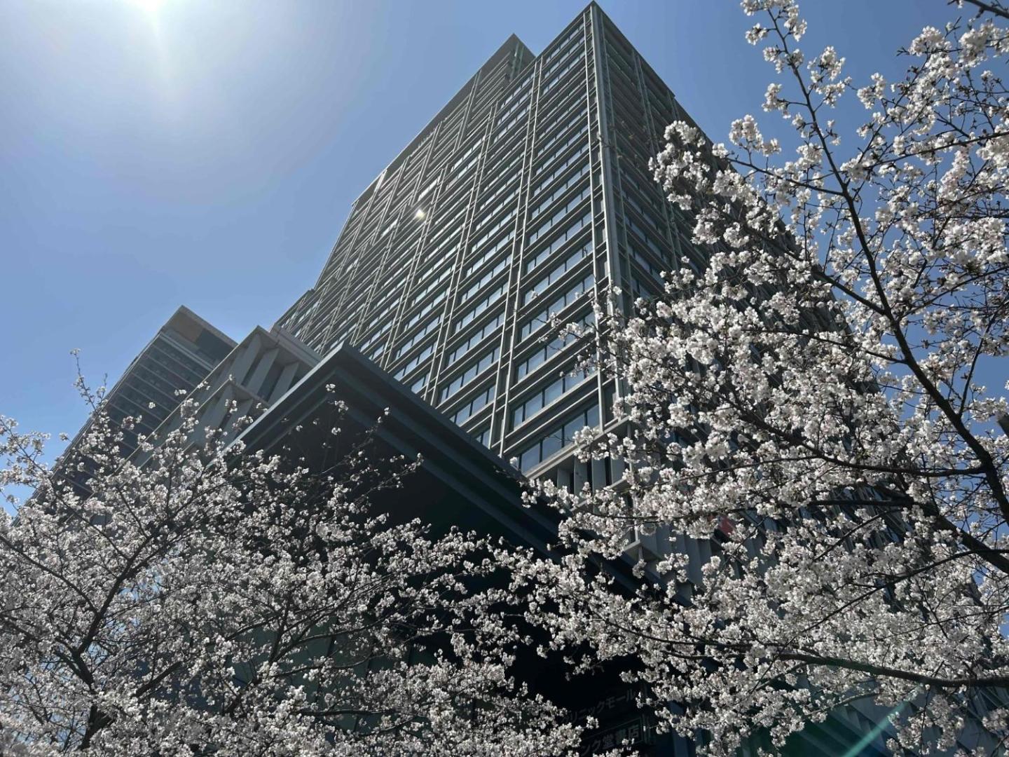 Hotel Monterey Grasmere Osaka — backstory
