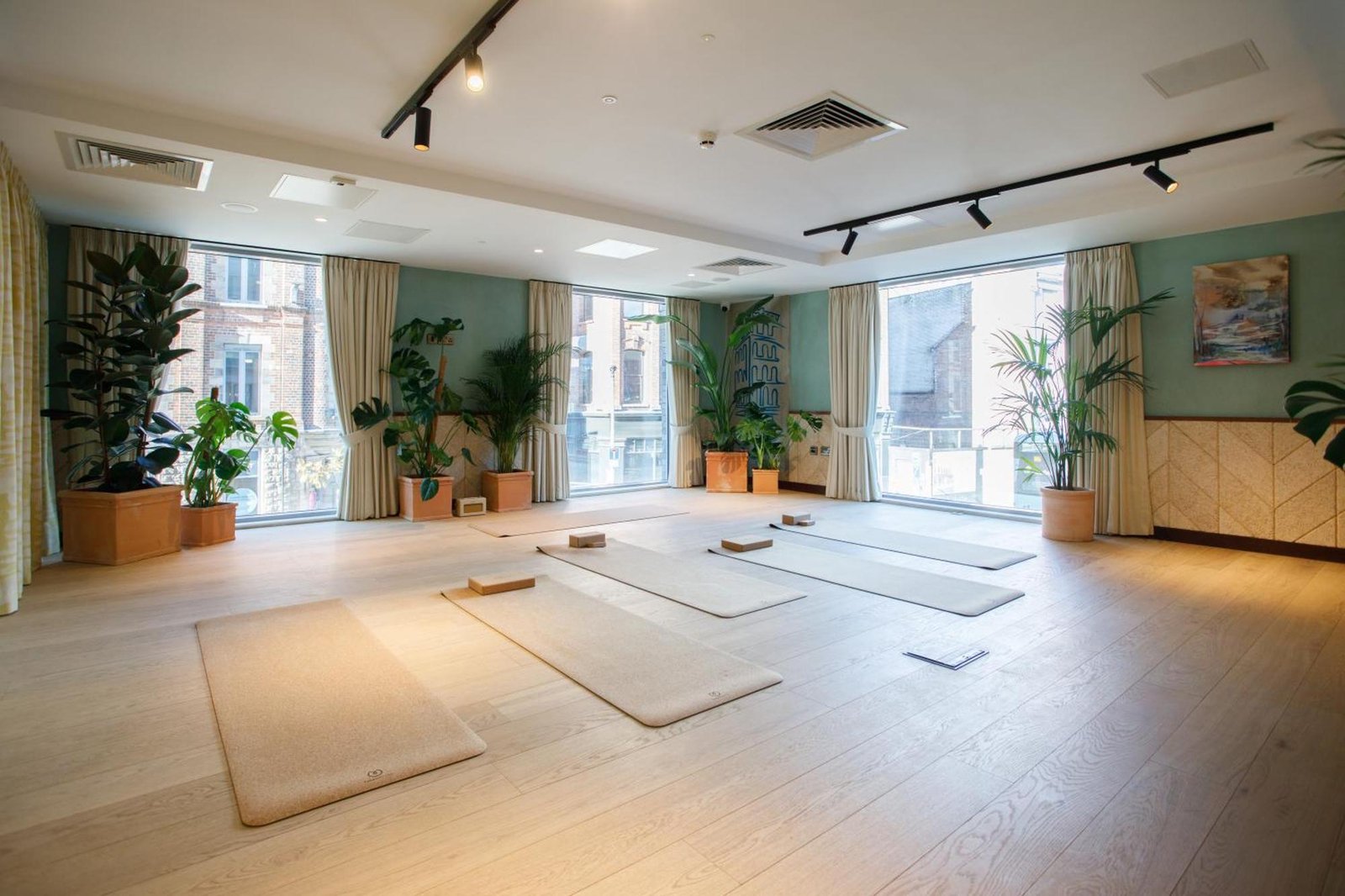 Second Nature Belfast, the gym and studio