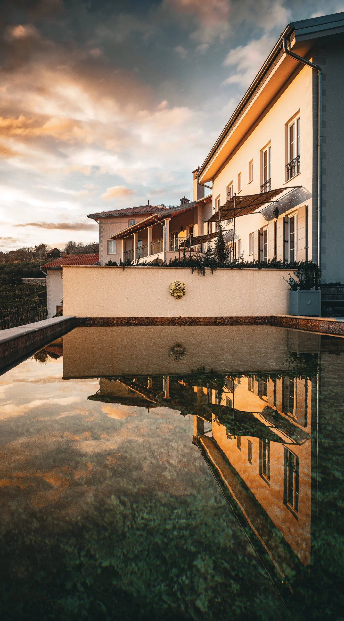 Peterc Vineyard Estate, the pool