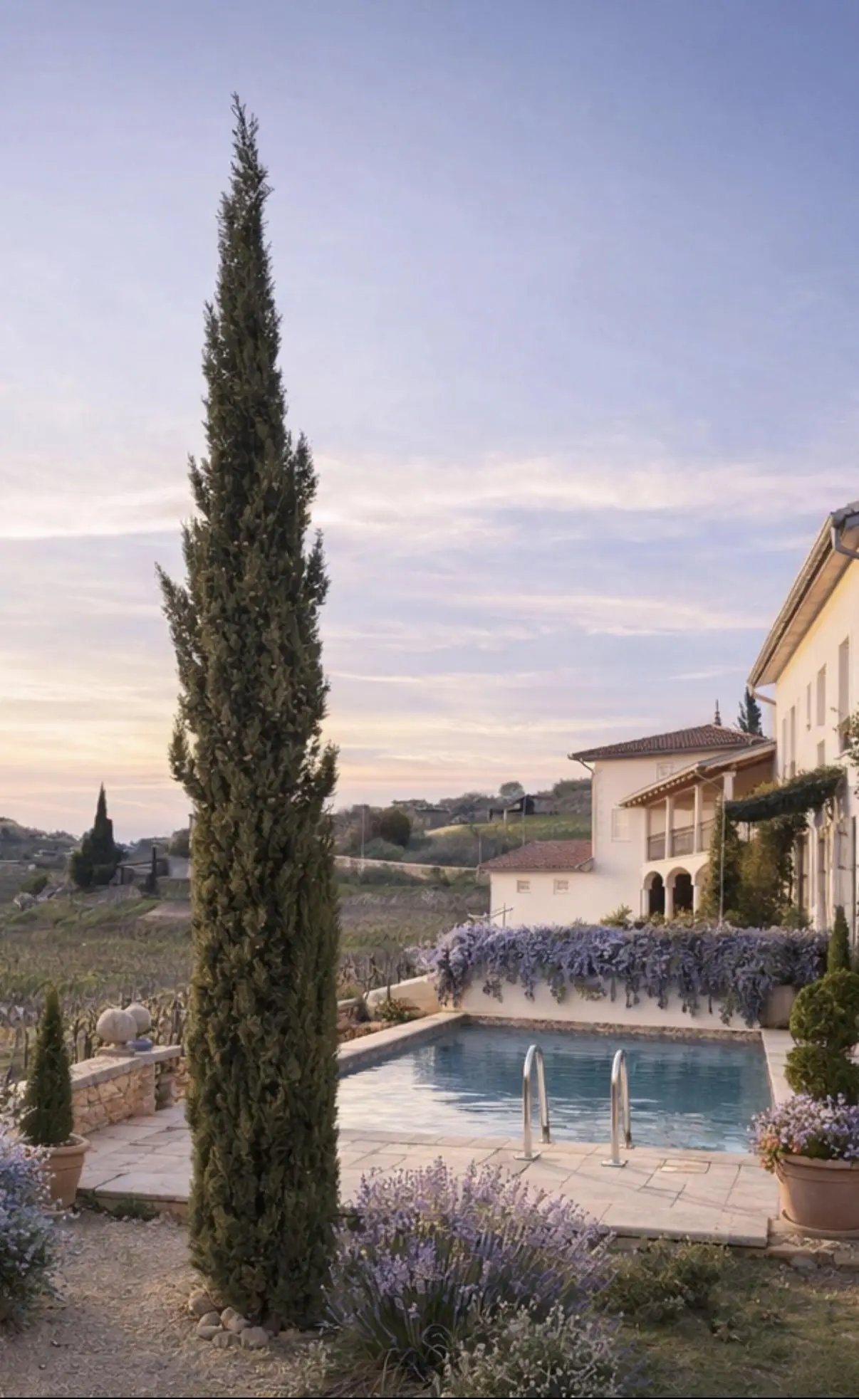 Peterc Vineyard Estate