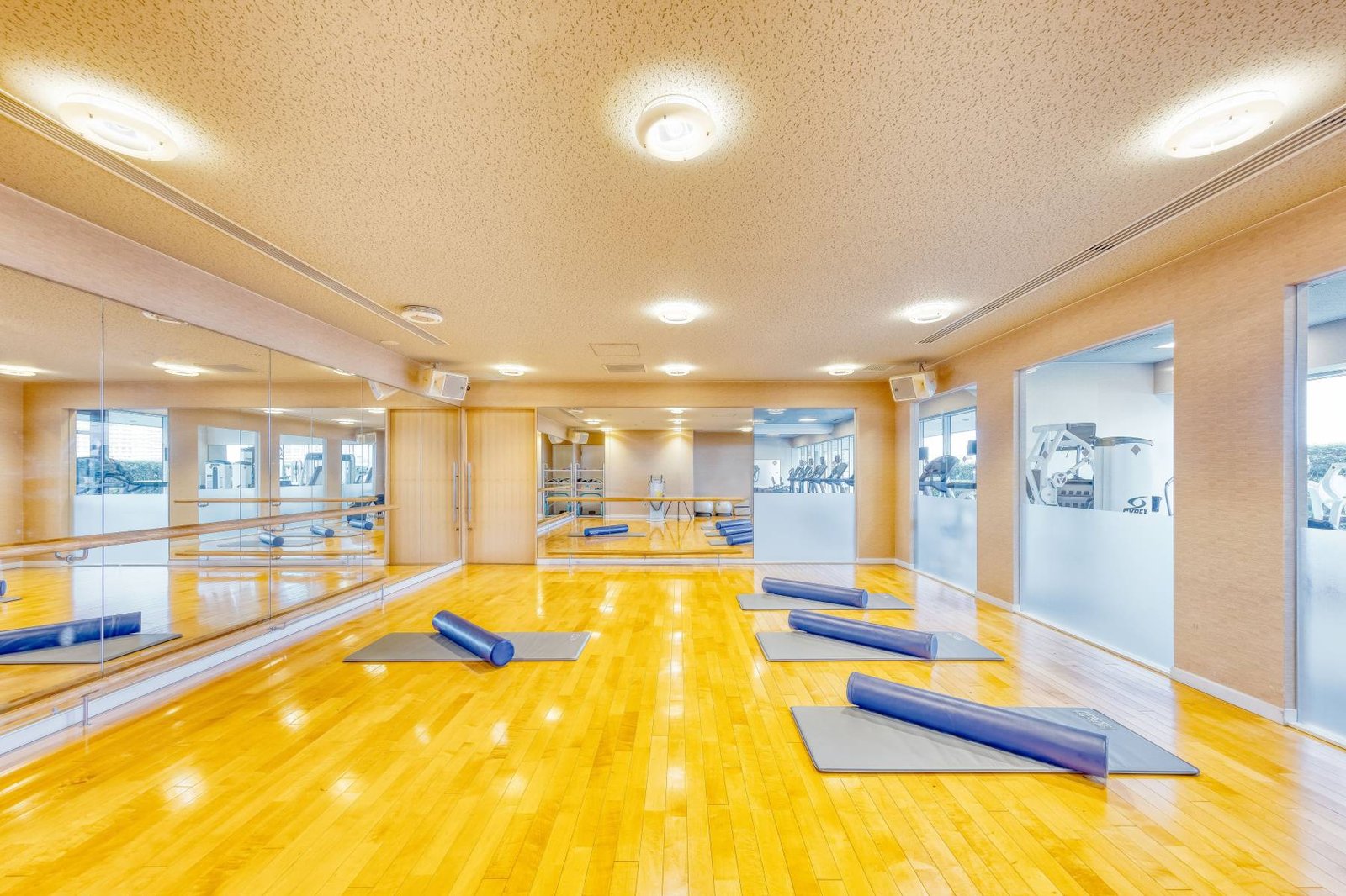 Swissôtel Nankai Osaka — wellness