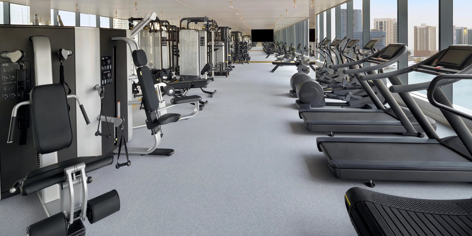 Hotel Indigo Dubai Downtown by IHG, the gym