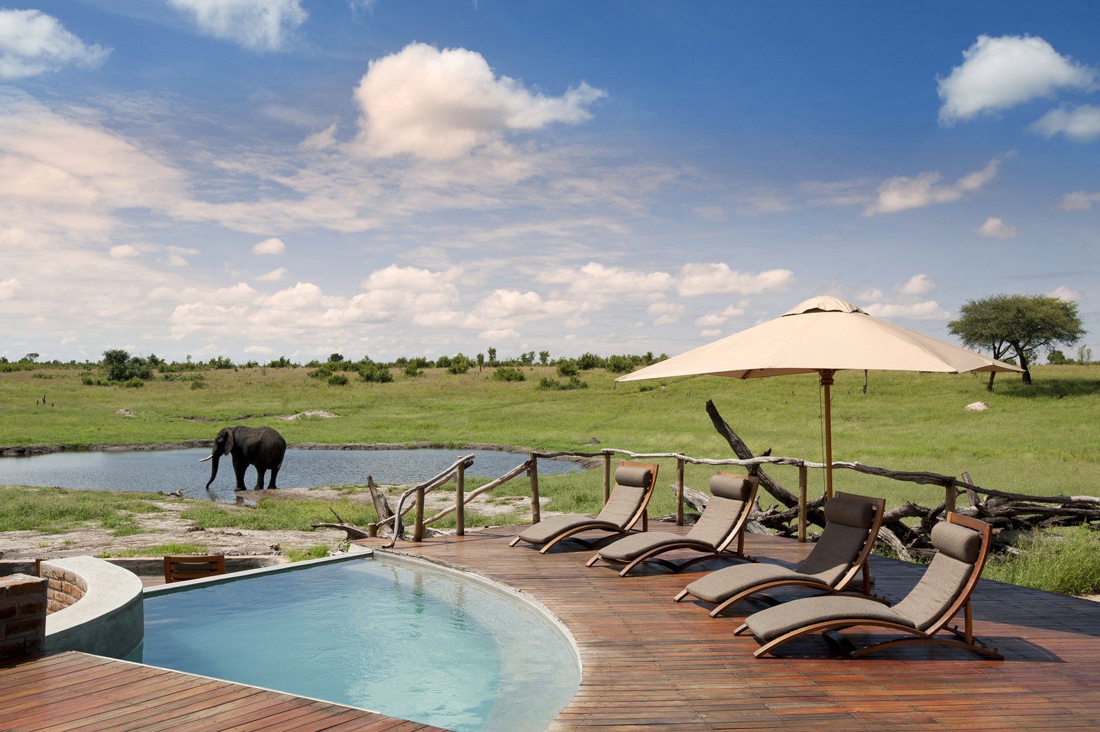 Somalisa Camp, the pool