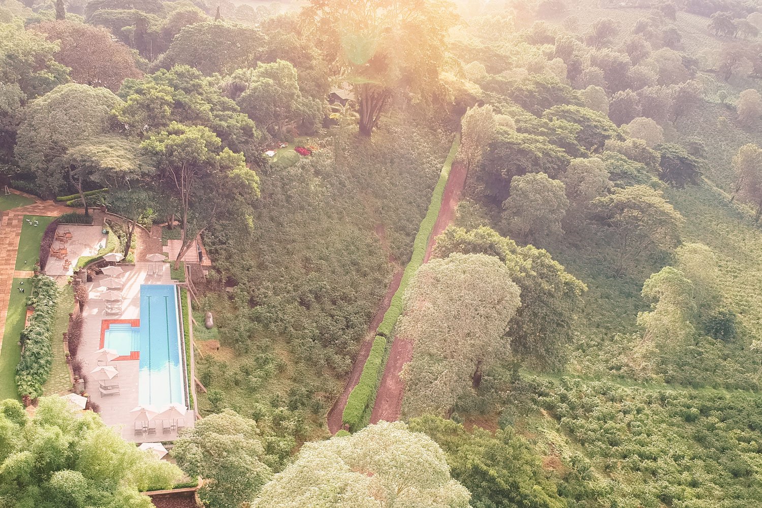 Gibb's Farm, the pool