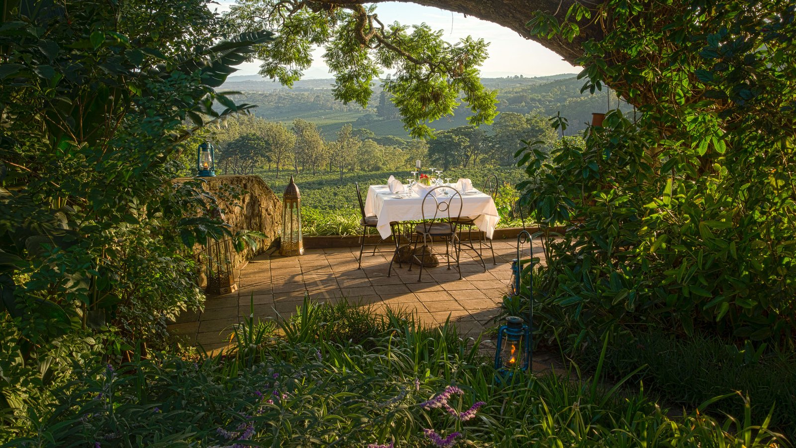 Gibb's Farm, at the table