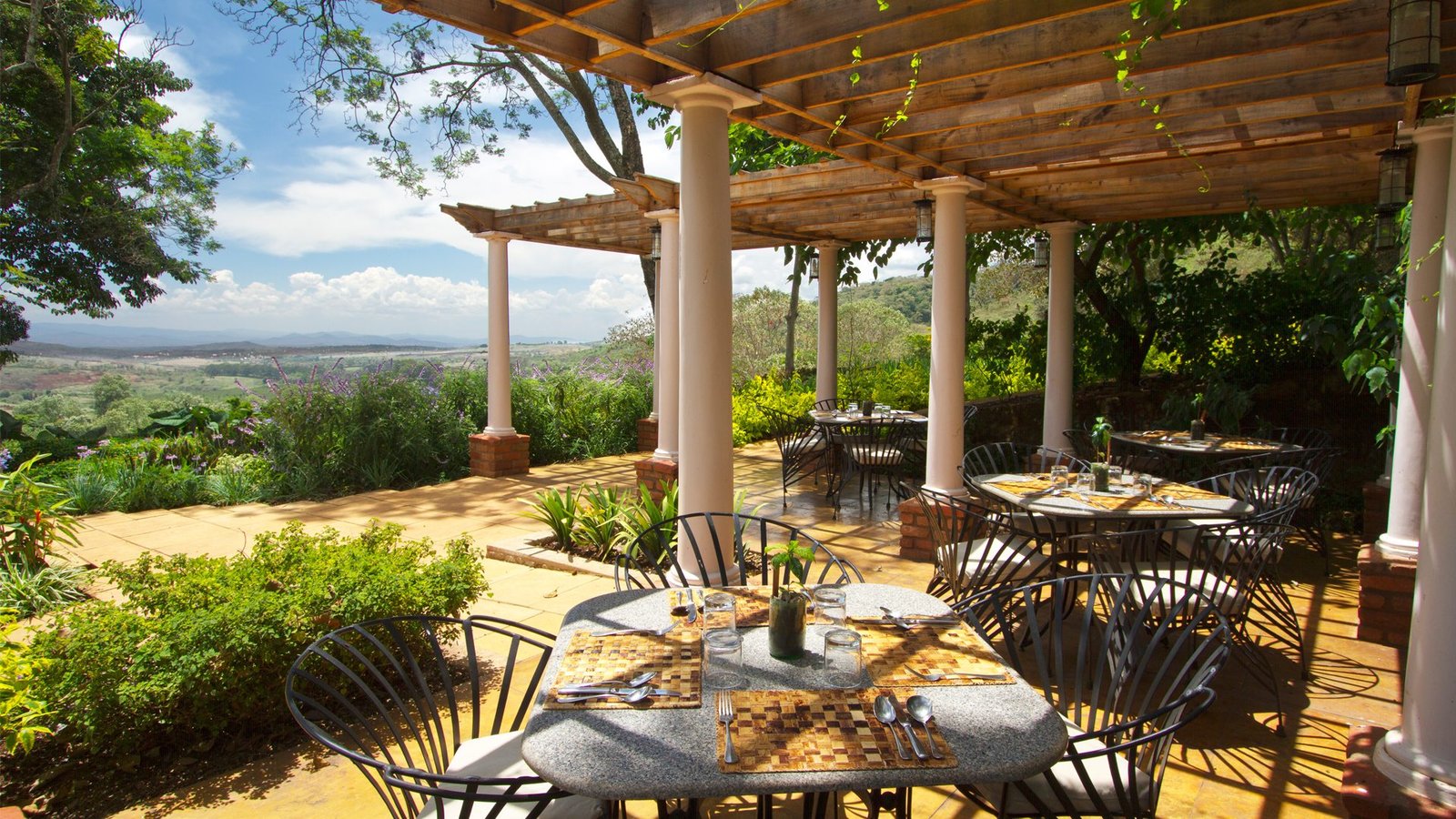Gibb's Farm, at the table