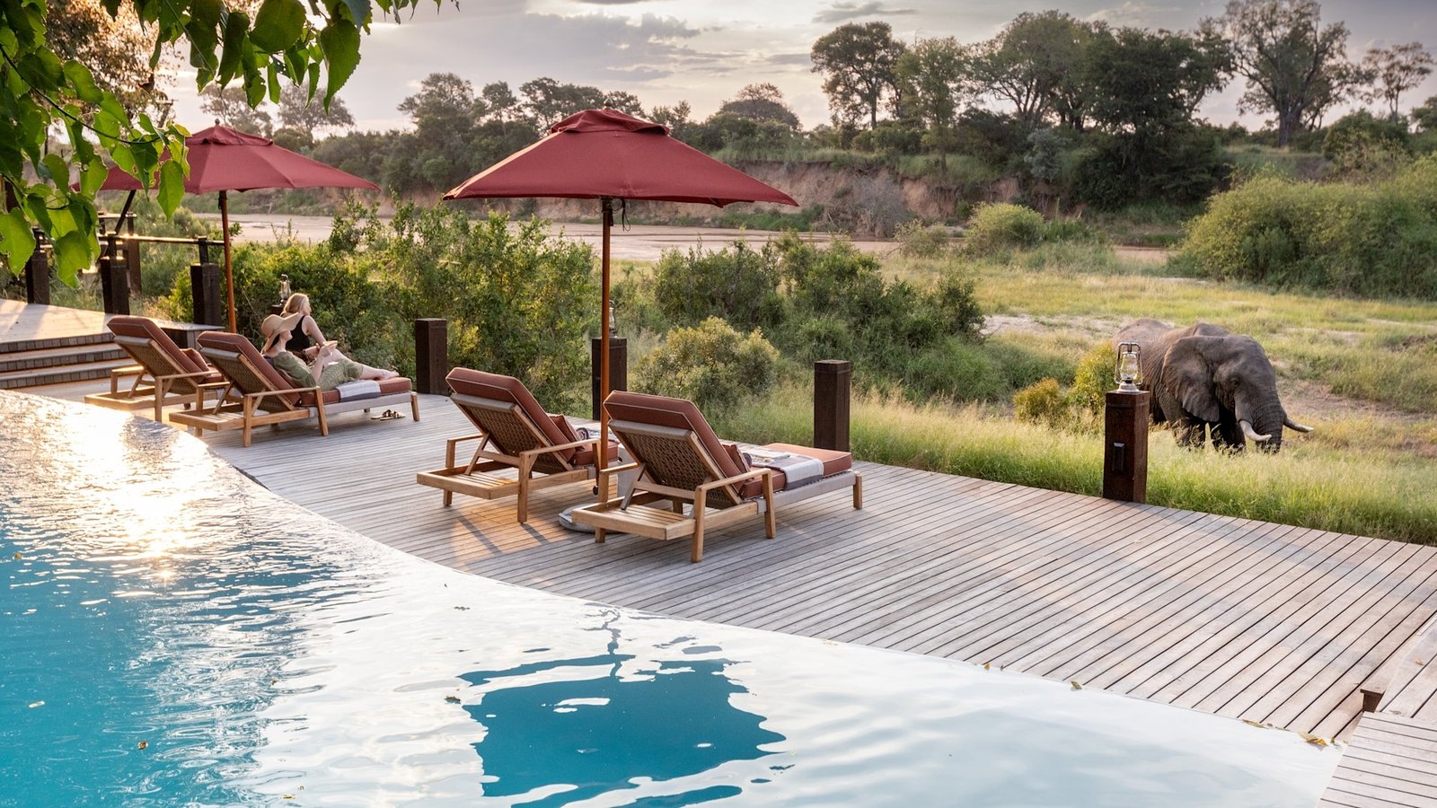 andBeyond Ngala Tented Camp, the pool