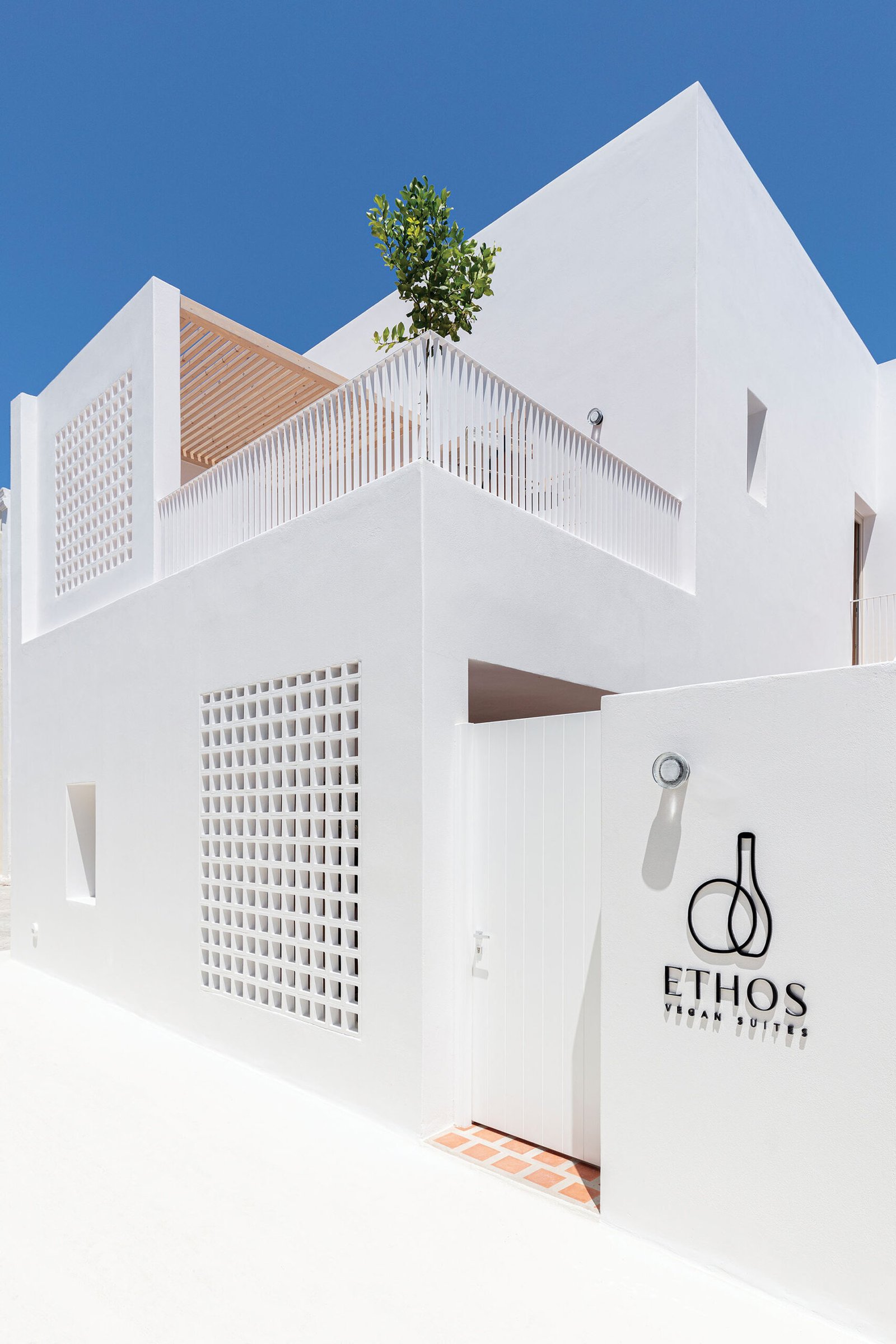 Ethos Vegan Suites, how it began