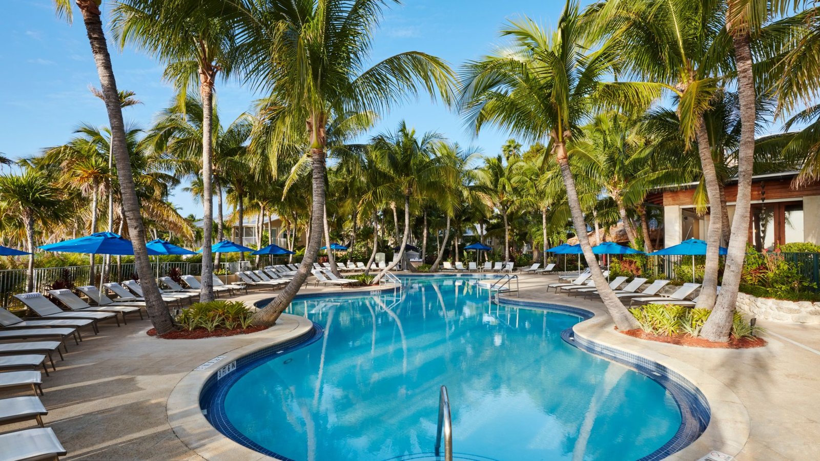 Cheeca Lodge & Spa, the pool