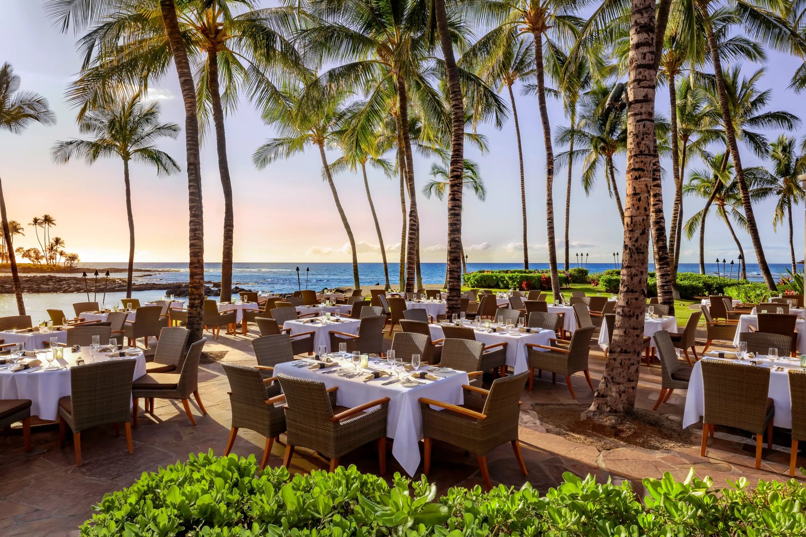 Fairmont Orchid