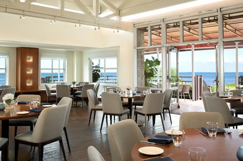 Grand Hyatt Tampa Bay, oystercatchers