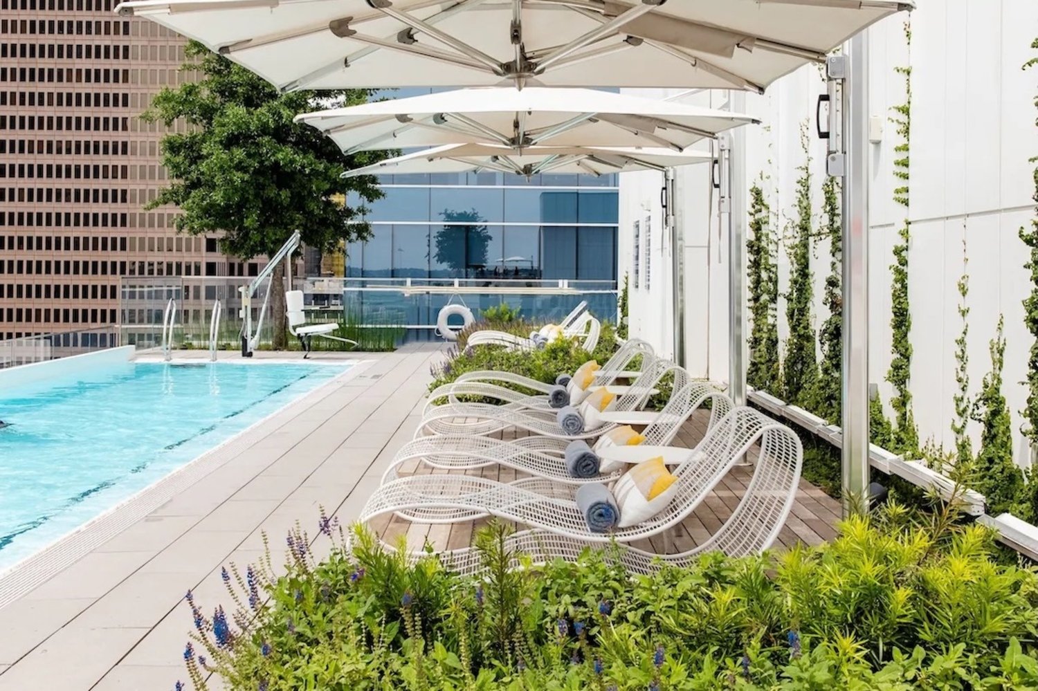 HALL Arts Hotel, Dallas, Autograph Collection, the pool