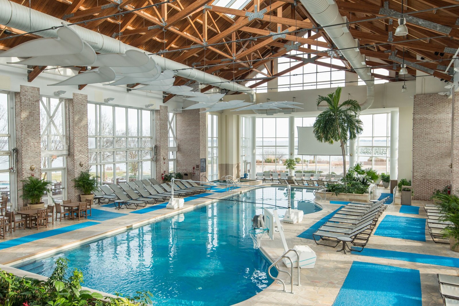 Hyatt Regency Chesapeake Bay Golf Resort, Spa and Marina, the pool