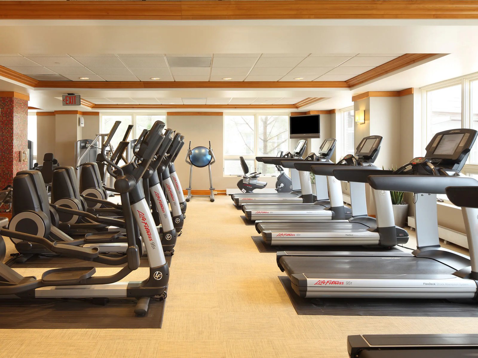 Hyatt Regency Chesapeake Bay Golf Resort, Spa and Marina, the gym