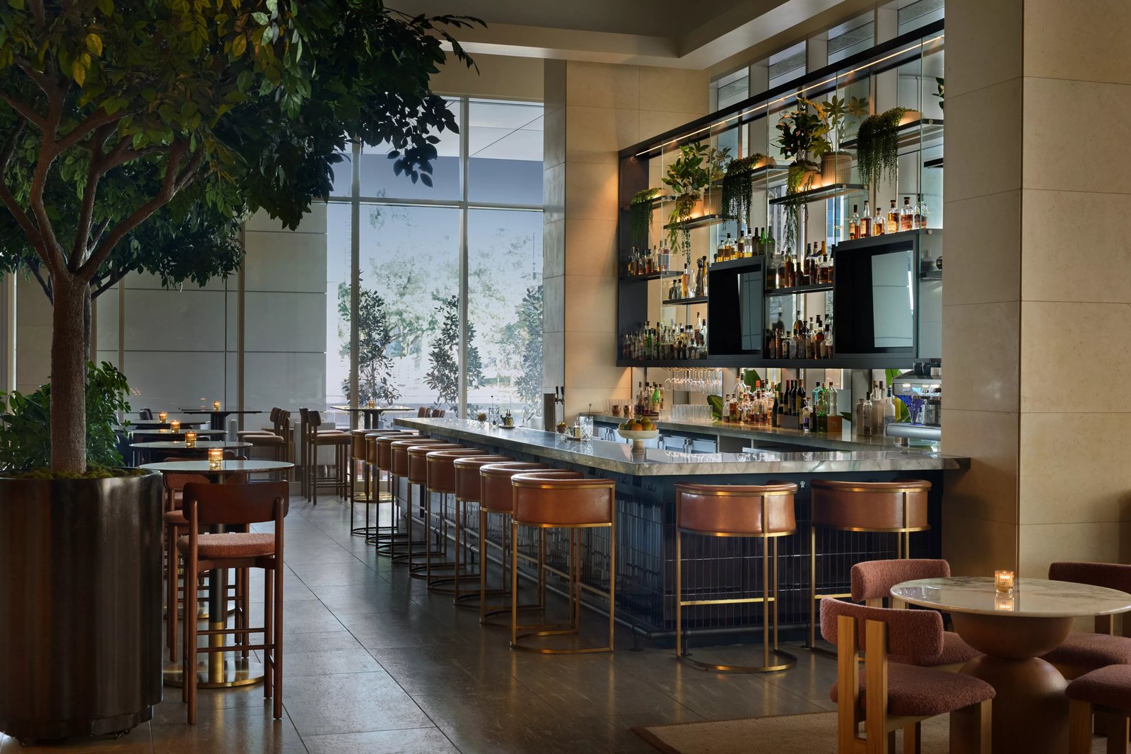 InterContinental Houston by IHG, the naturalist bar & lounge