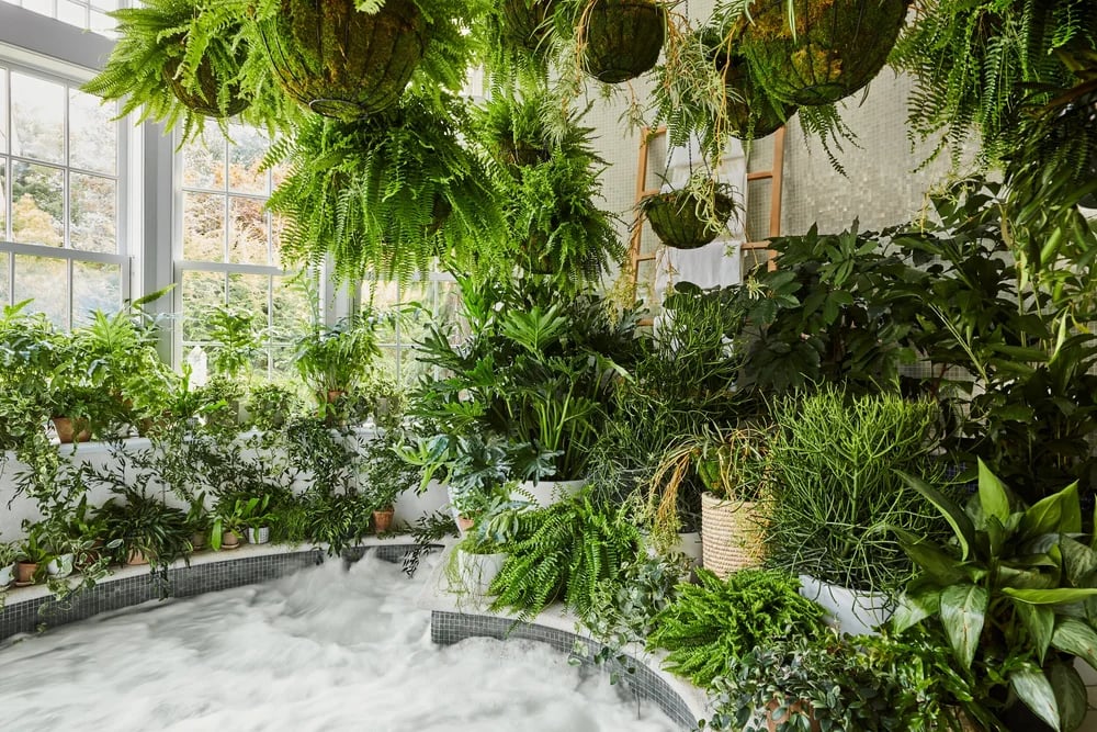 Mayflower Inn & Spa, the whirlpool