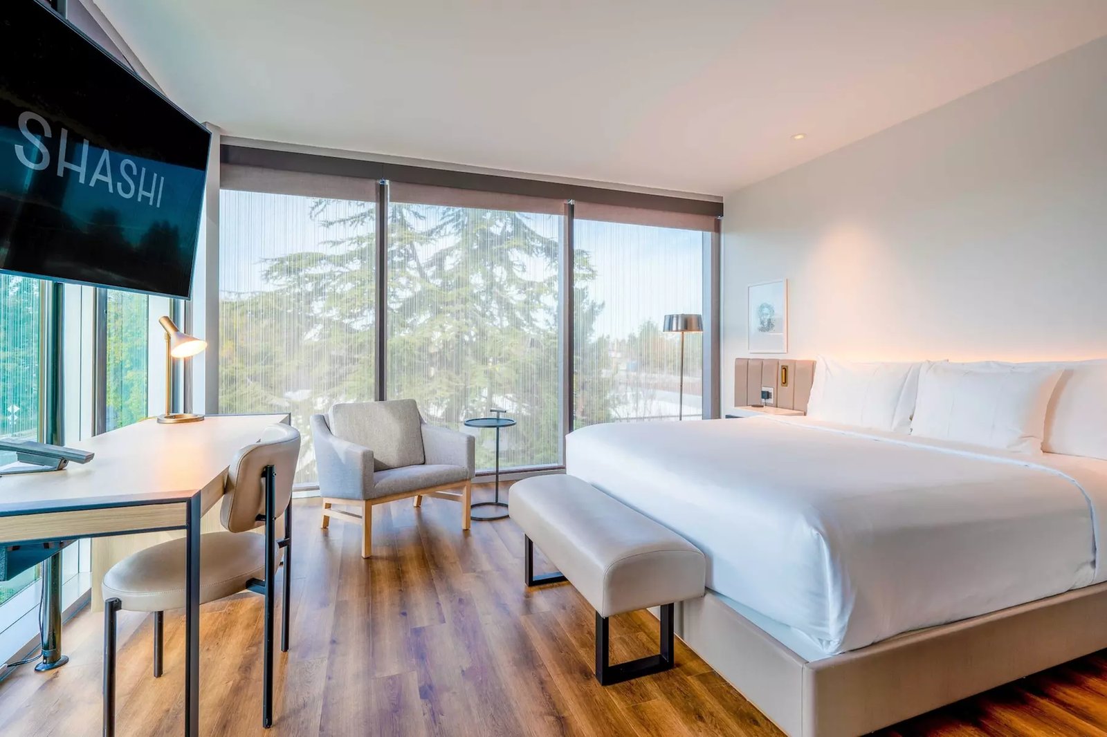 Shashi Hotel Mountain View Palo Alto, rooms