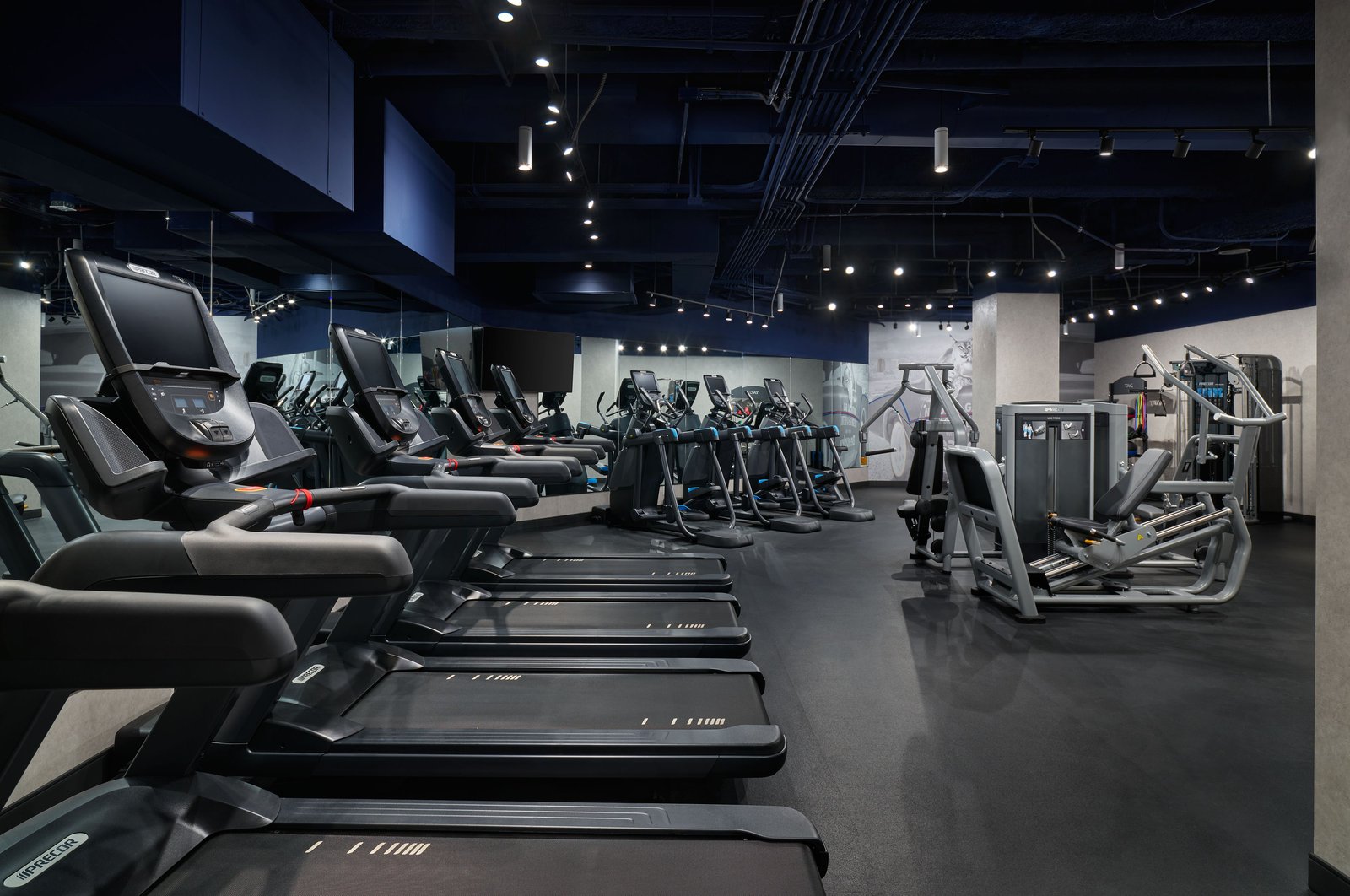 The Leo Kent Hotel, the gym