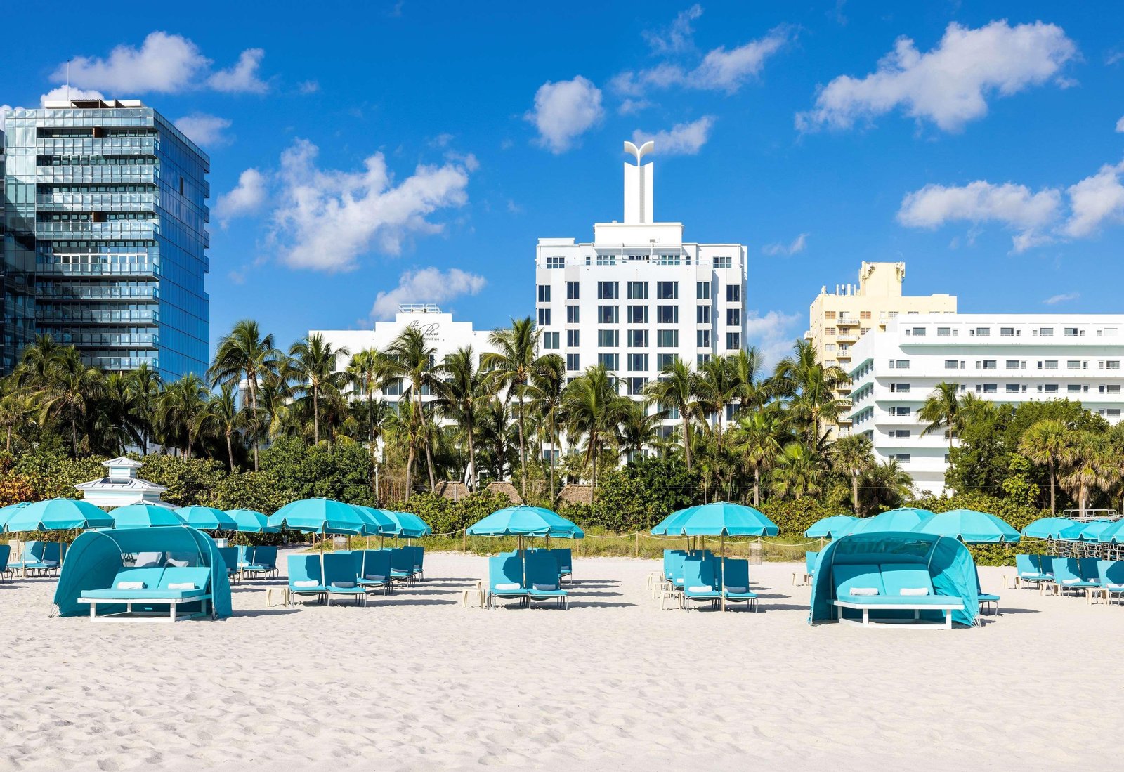The Palms Hotel & Spa, how it began