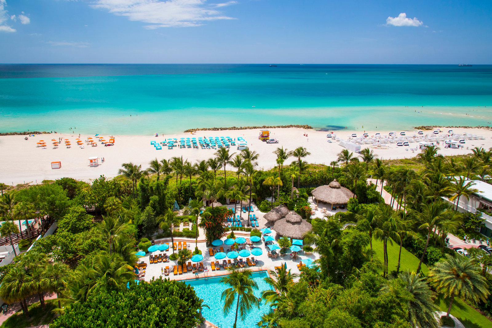 The Palms Hotel & Spa, the pool