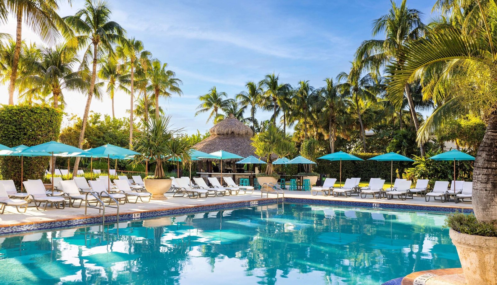 The Palms Hotel & Spa, the pool